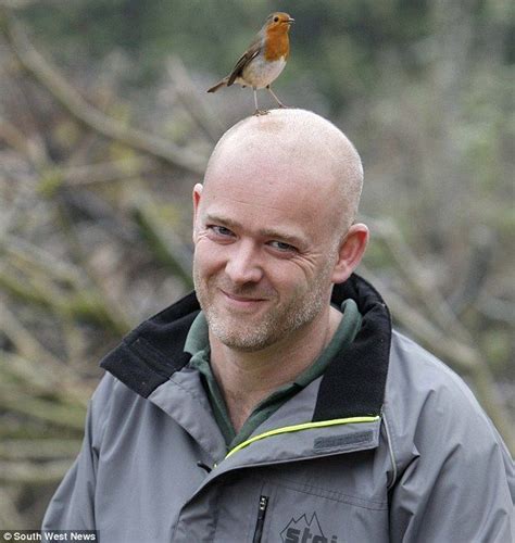 Cocky Robin The Bird Who Favours The Shaved Head Of A Tree Surgeon As A Perch Dailymail Tree