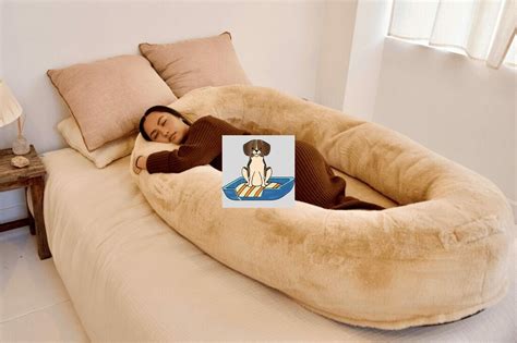 20 Reasons Why Every Pet Lovers Should Have Plufl Human Dog Bed
