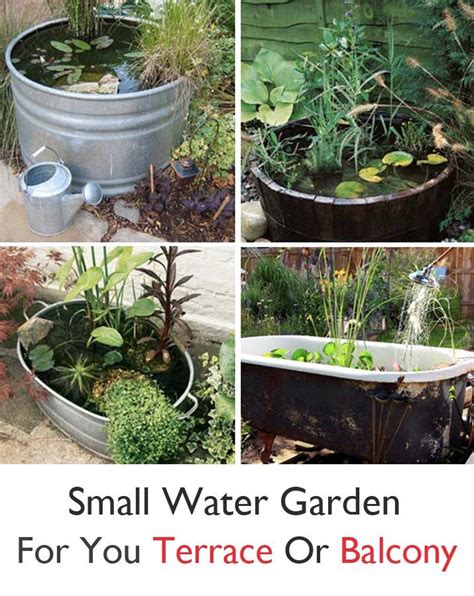 Small Water Garden For You Terrace Or Balcony Small Water Gardens