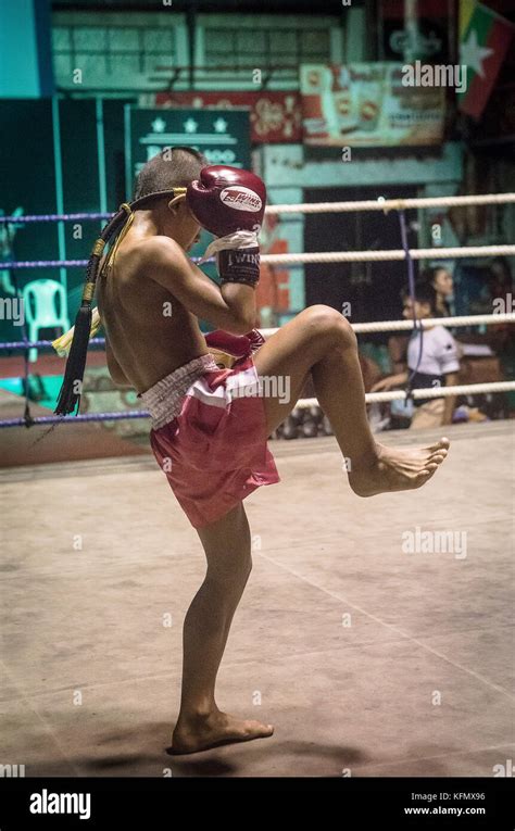 Boy Thai Boxing Stock Photos And Boy Thai Boxing Stock Images Alamy