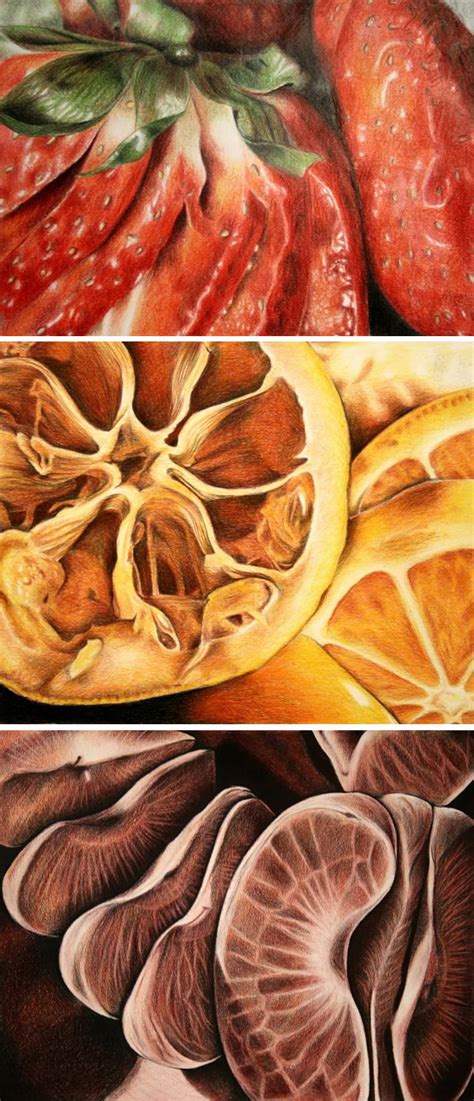 Realistic citrus fruit stock art illustrations including, oranges, lemons, limes, tangerines, mandarins and grapefruit. Phenomenal Fruit Drawings: AP Studio Art