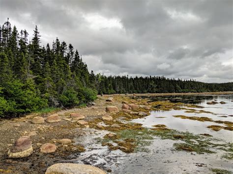 11 Reasons To Visit Newfoundland Canada At Least Once