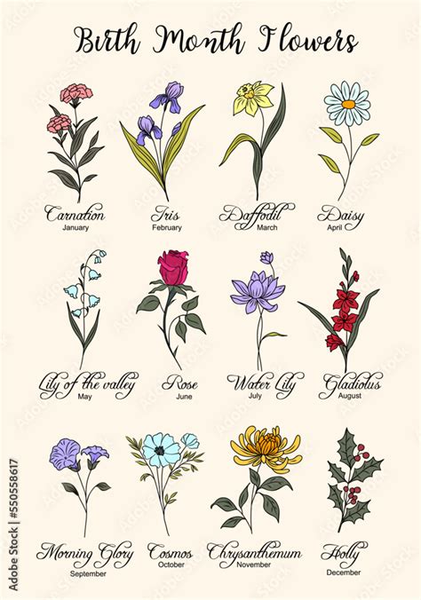 Set Of Birth Month Flowers Colorful Line Art Vector Illustrations