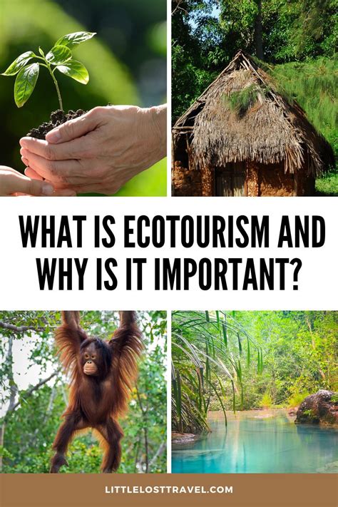 What Is Ecotourism And Why Is It Important Artofit