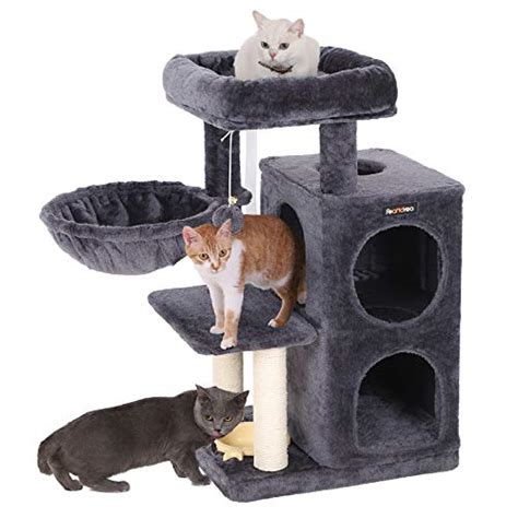 Northmate catch interactive feeder for cats. Top 5 Best Cat Trees for Older Cats (with Reviews) - CatVills