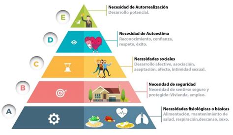 Pirámide de Maslow Concepto características y ejemplos
