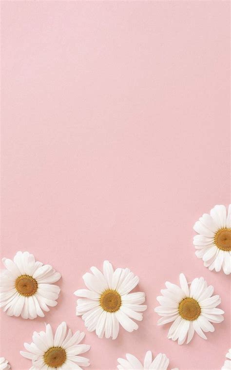 Warna pastel identik dengan kesan cantik dan lembut jadi anda harus memastikan bahwa desain anda memiliki perasaan yang sama jika ingin men. Pink Wallpaper Warna Pastel Tumblr - Wallpaper HD