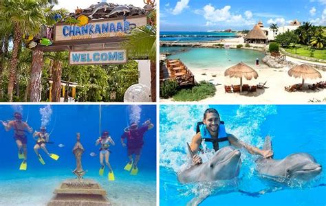 Parque Chankanaab En Cozumel Cancun Adventure Tours