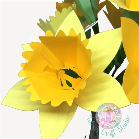 Daffodil 3D SVG flower template Circut cutting file and | Etsy