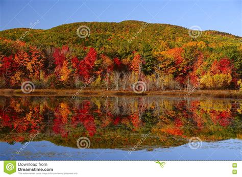 Lac Autumn Avec Les Arbres Et Les Montagnes Rouges Photo Stock Image