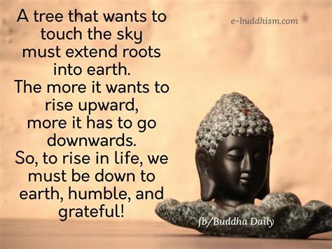 Words Of Wisdom Quotes Me Quotes Buddhist Teachings Buddhism Buddha