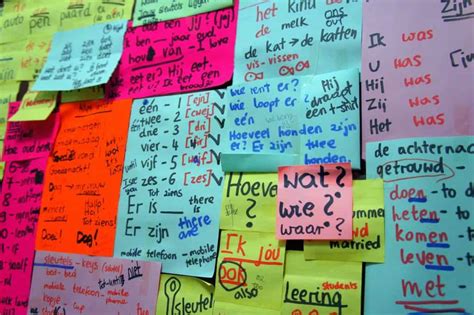 7 Tips On How To Learn Fluent Dutch For Free In 3 Months Etramping