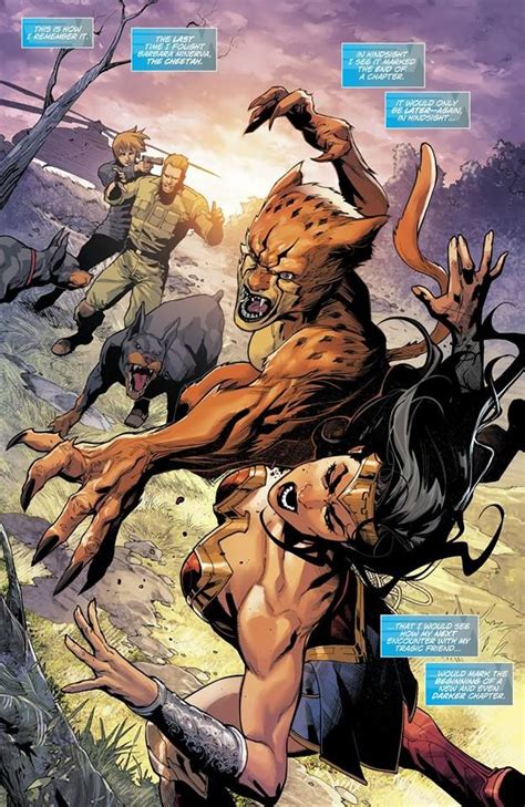 Wonder Woman and Cheetah Legião dos super herois Heroinas dos