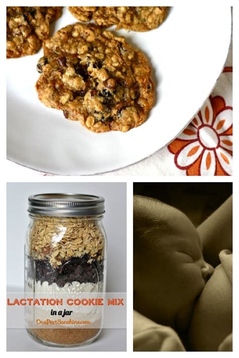 Lactation Cookie Mix In A Jar The Perfect T For Nursing Moms