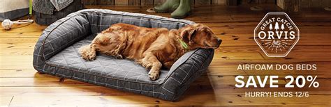 Dog Beds Memory Foam Toughchew And Bolster Beds Orvis