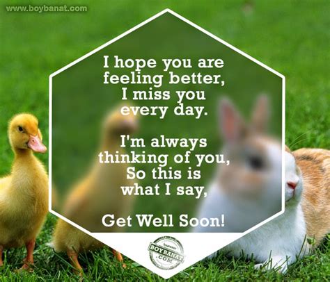 21 Inspirational Quotes About Get Well Soon Brian Quote