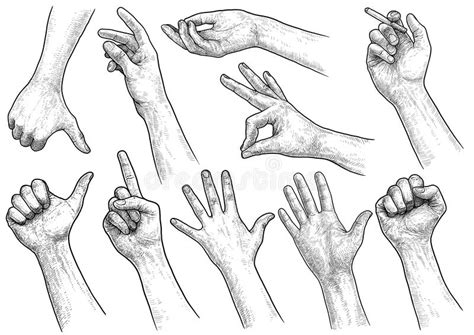 Palm Up Hand Illustration Drawing Engraving Ink Line Art Vector