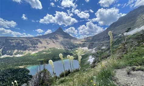 Glacier Guides & Montana Raft Blog