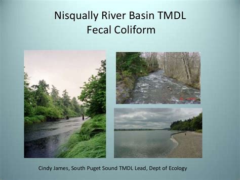Nisqually River Basin Tmdl
