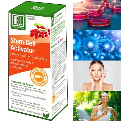 Stem Cell Activator Stem Cells How To Increase Energy Skin Support