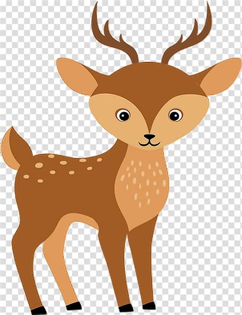Forest Animal Woodland Silhouette Cuteness Cartoon Drawing Deer