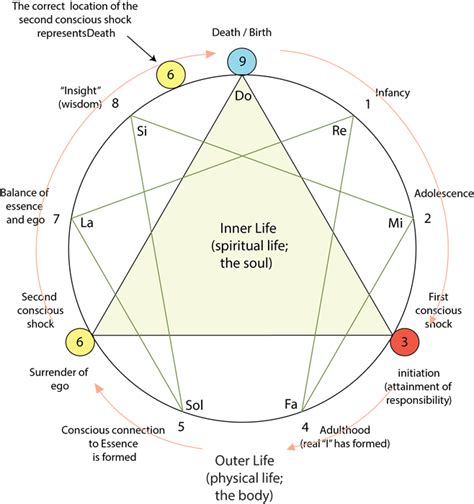 enneagram of the cycle of life