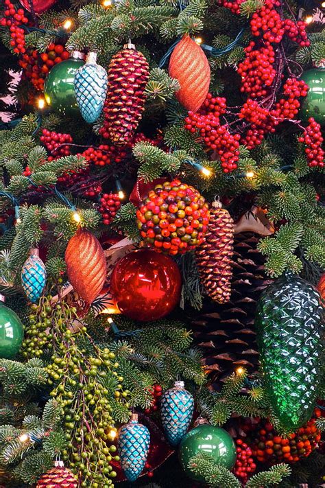 Christmas Tree Cheer Photograph By Byron Varvarigos Pixels