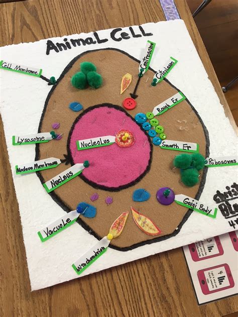It is made up of chitin, lignin and other materials. 3-D Cell Examples - Traveling Through Cells