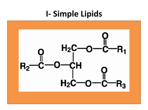Ppt Lipid Chemistry Powerpoint Presentation Free Download Id6163071