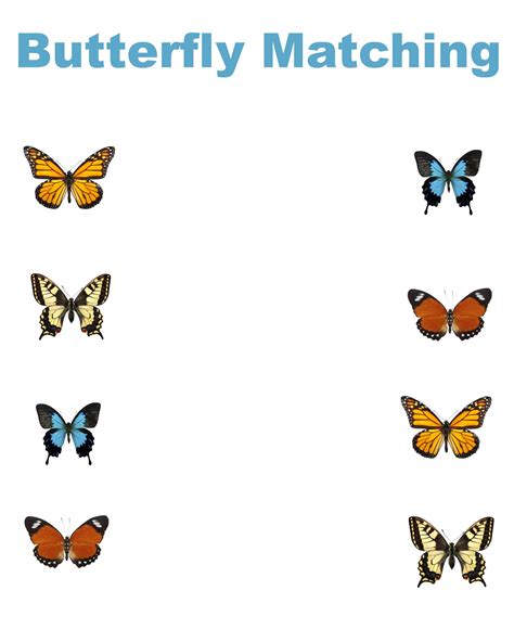 Free Printable Butterfly Matching Worksheet Jenny At Dapperhouse