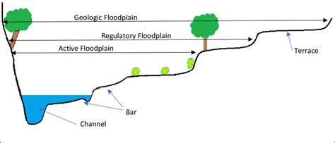 Elements Of A River Floodplain Cross Section Download Scientific Diagram