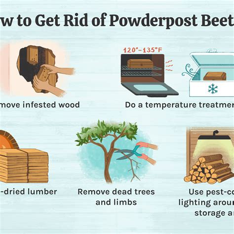 powder post beetle treatment home depot - savehomelitexlchainsaw