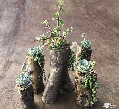 15 Beautiful Upcycle Wooden Branch Diy Ideas To Bring More Nature Into