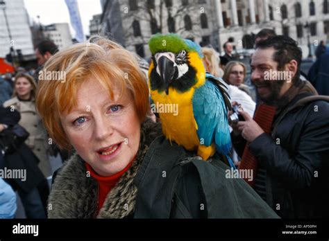 A Woman With A Parrot On Her Shoulder In Trafalgar Square London Stock