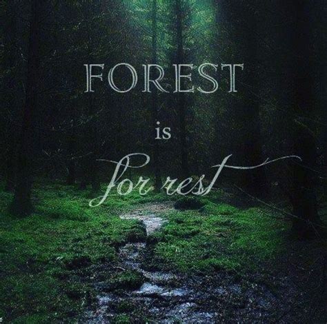 Forest For Rest Motivacional Quotes Life Quotes Love Daily Quotes
