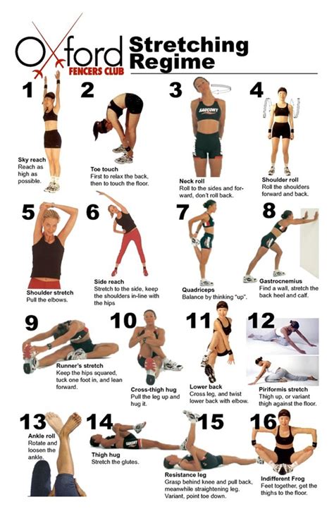 Charts Of Post Workout Stretches To Prevent Injuries Bored Art