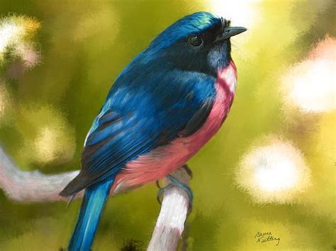 Pretty Bird Painting By Bruce Nutting Fine Art America
