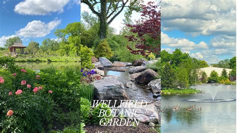 Check spelling or type a new query. Wellfield Botanic Garden in Elkhart ️?? vlog 33 - YouTube