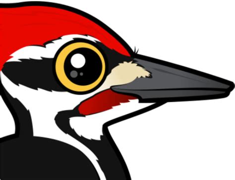 Woodpecker Clipart Red Headed Woodpecker Cartoon Png Download