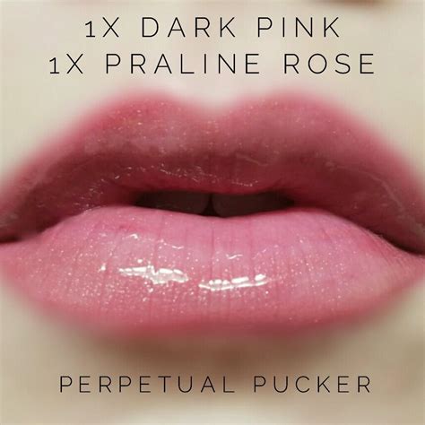 LipSense Distributor 228660 Perpetualpucker Dark Pink And Praline