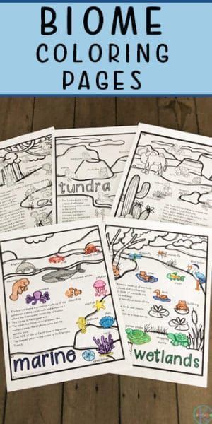 biomes coloring pages kids   fun learning    biomes