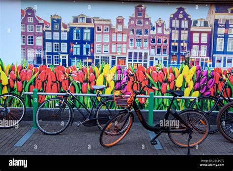 Parked Bicycles And Painted Wall In The Flower Market Amsterdam North
