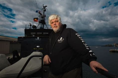 Sea Shepherd S Captain Paul Watson Testifies In Us Court