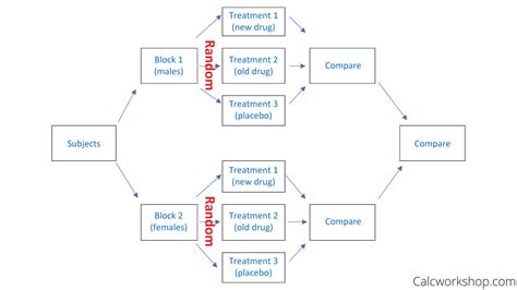 Experimental Design In Statistics W 11 Examples 15 Experimental