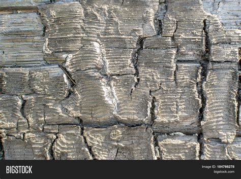 Burnt Wood Charcoal Image And Photo Free Trial Bigstock
