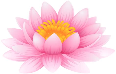 Water Lily Png Clip Art Image Lotus Flower Wallpaper Flower Painting
