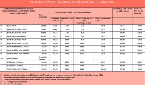 Bases De Cotizaci N Seguridad Social Empleadas De Hogar Donadona
