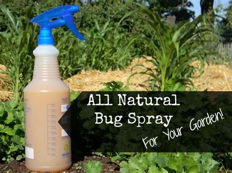 Homemade All Natural Insect Spray For Your Garden Recipe Natural
