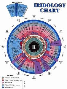 Metaphysical Diagrams Secret Energy Iridology Chart Iridology