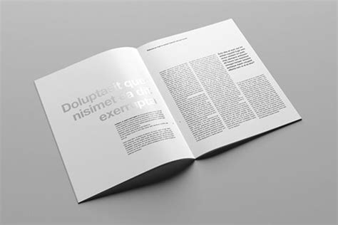 Magazine, book, stationery, apparel, device, mobile, editorial, packaging, business cards, ipad, macbook, glassware, beer, bottle. Download - 20+ Best Booklet & Catalog PSD Mockup (Free ...